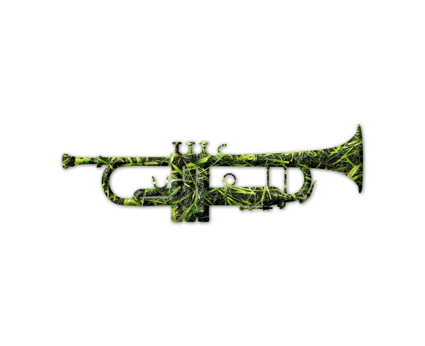 Trumpet Shape Grass Texture Isolated White Background — Stock Photo, Image