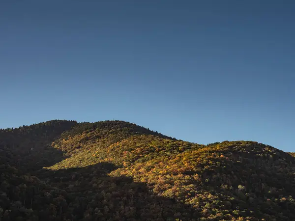 Tiro Uma Floresta Montanha Fundo Azul Céu — Fotografia de Stock