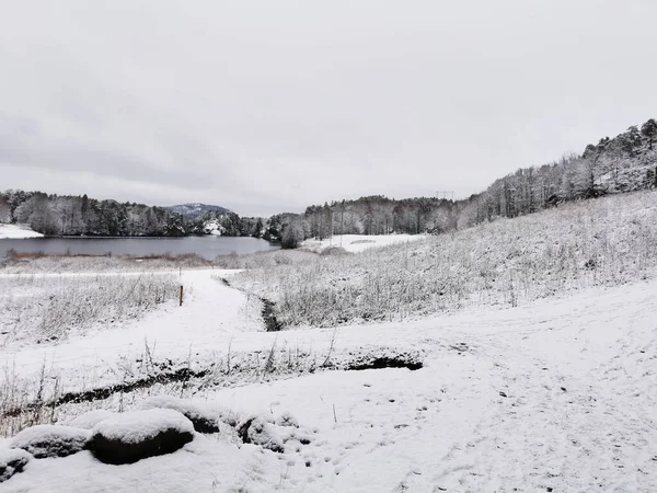 Krásná Zimní Krajina Venkovskou Cestou Pokrytou Sněhem Larviku Norsko — Stock fotografie