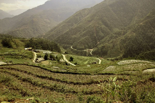 Una Hermosa Vista Panorámica Arrozal Arroz Tradicional Terrazas Sapa Vietnam — Foto de Stock