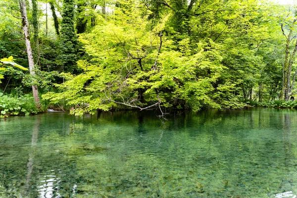Eine Schöne Aufnahme Der Plitvicer Seen Kroatien — Stockfoto