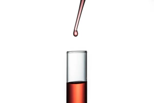 滴管一种滴管 将红色液体滴入在白色背景上隔离的试管中 — 图库照片