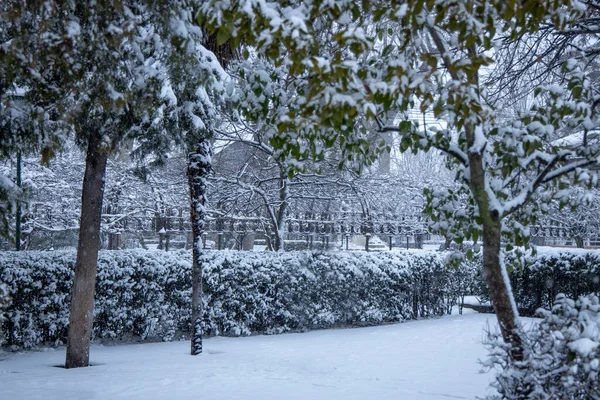 Uma Vista Panorâmica Parque Coberto Neve Branca Durante Inverno — Fotografia de Stock