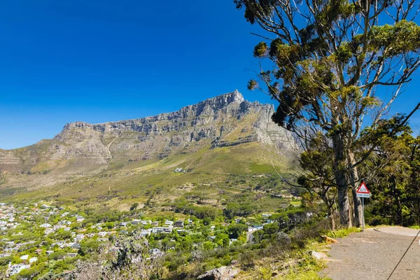 Una Vista Panoramica Città Del Capo Sud Africa Con Albero — Foto Stock