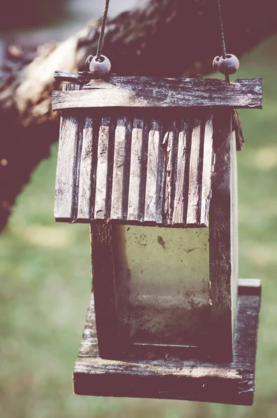 Oude Vogel Feeder Opknoping Van Een Boom Tak Close — Stockfoto