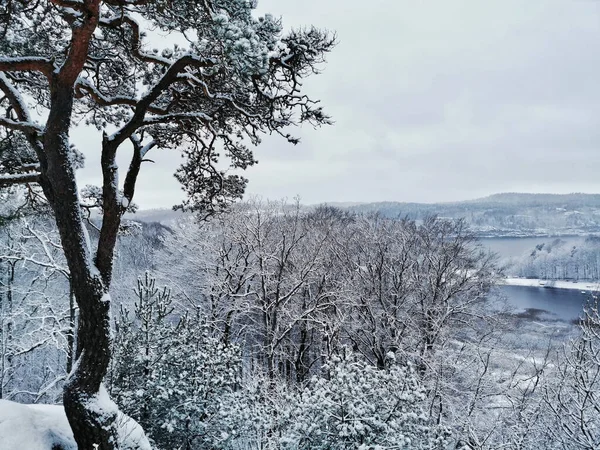 Krásná Zimní Krajina Zasněženými Stromy Průzračná Řeka Odleskem Larviku Norsko — Stock fotografie