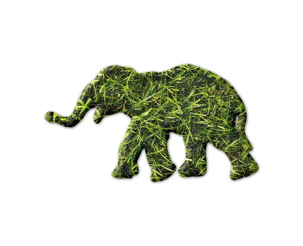 Elephant Shape Grass Texture Isolated White Background — Stock Photo, Image