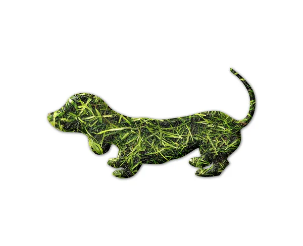 Ein Dackel Hund Form Mit Gras Textur Isoliert Auf Einem — Stockfoto