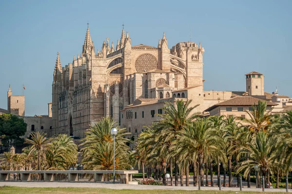 Uma Bela Foto Catedral Palma Dia Ensolarado Verão — Fotografia de Stock