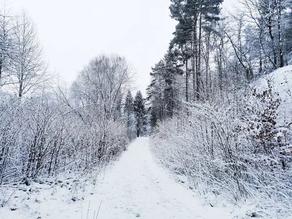 노르웨이 라르비크에 눈으로 아름다운 풍경과 — 스톡 사진