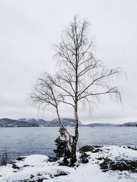 Ett Vackert Vinterlandskap Med Fjäll Klar Älv Med Eftertanke Larvik — Stockfoto
