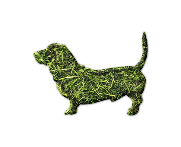 Ein Dackel Hund Form Mit Gras Textur Isoliert Auf Einem — Stockfoto