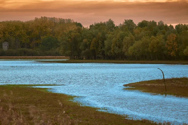 秋には森の近くの青い池 — ストック写真