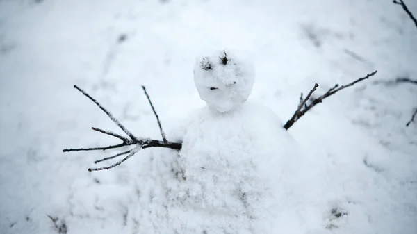 Primer Plano Muñeco Nieve Durante Invierno —  Fotos de Stock