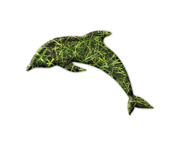 Delfin Kontur Med Ett Gräs Tryck Isolerad Vit Bakgrund — Stockfoto