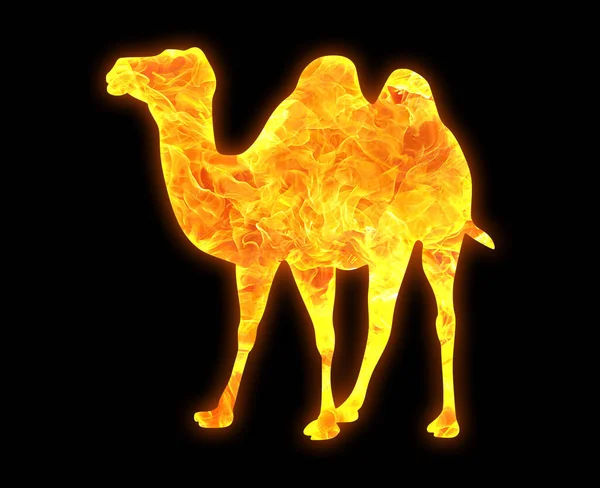 Una Silueta Fuego Silueta Camello Aislado Sobre Fondo Negro —  Fotos de Stock