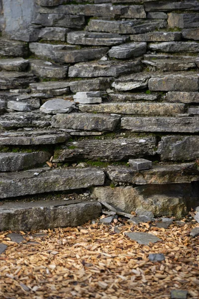 Vertical Shot Old Stone Steps Forest — Stock Photo, Image