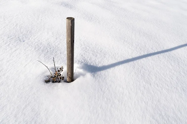 Tiro Alto Ángulo Palo Madera Nieve Bajo Luz Del Sol —  Fotos de Stock