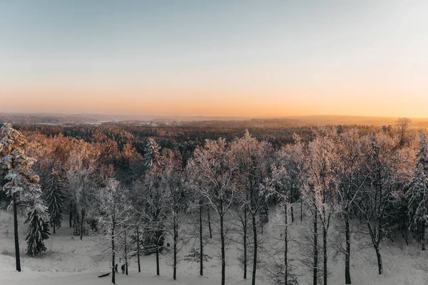 日没時には雪の森と魅惑的な冬の風景 — ストック写真