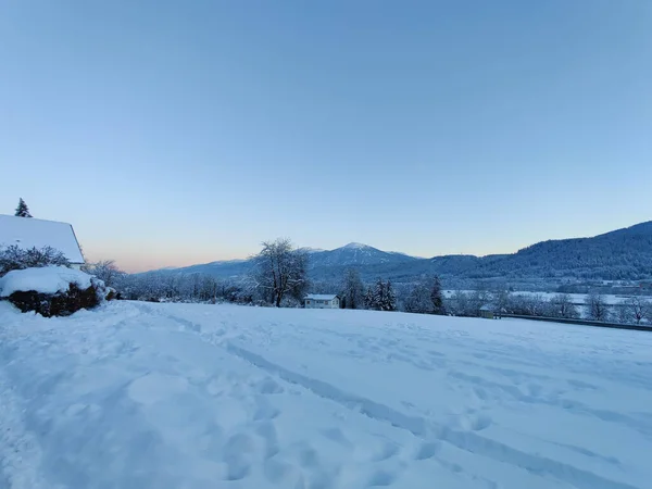 Bela Vista Montanhas Árvores Cobertas Neve Nevoeiro Noite Inverno — Fotografia de Stock