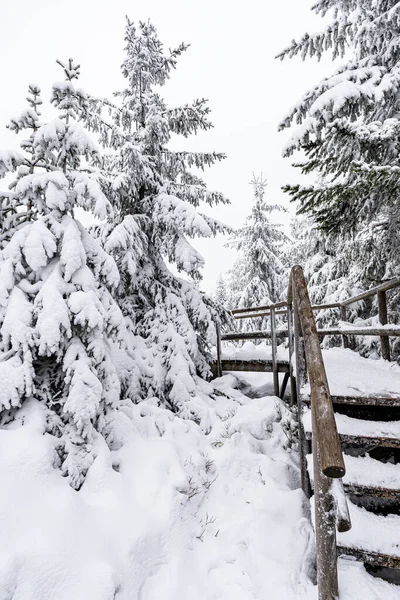 Vertikal Bild Träkonstruktion Schwarzwaldbergen Tyskland Vintern — Stockfoto