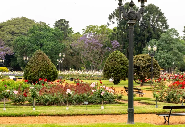 Ein Schöner Park Mit Bäumen Und Bunten Blumen — Stockfoto