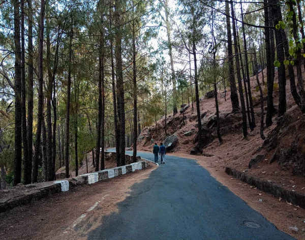 Close Amigos Caminhando Caminho Floresta — Fotografia de Stock