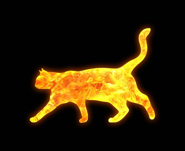 Gato Fuego Aislado Sobre Fondo Negro — Foto de Stock