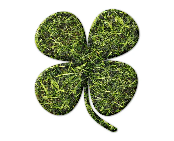 Een Prachtige Illustratie Van Een Shamrock Bord Geïsoleerd Een Witte — Stockfoto