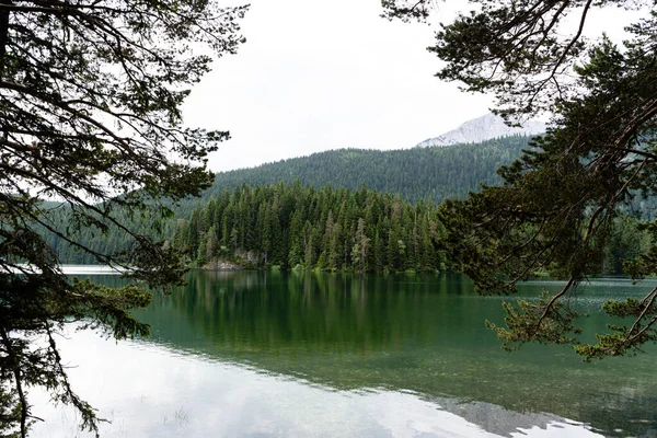 Мирный Вид Черное Озеро Окружении Густых Деревьев Национальном Парке Дурмитор — стоковое фото