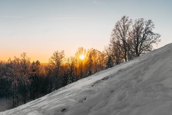 Μια Μαγευτική Θέα Του Δάσους Από Χιονισμένο Λόφο Ηλιοβασίλεμα — Φωτογραφία Αρχείου