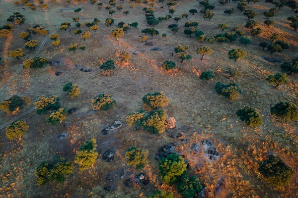 Eine Ansicht Der Landschaft Dehesa Luz Aus Der Vogelperspektive Mit — Stockfoto