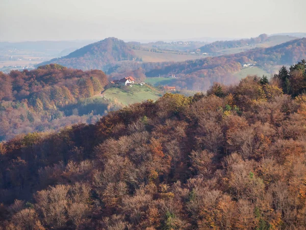 Воздушная Съемка Прекрасного Осеннего Леса Красочными Деревьями — стоковое фото