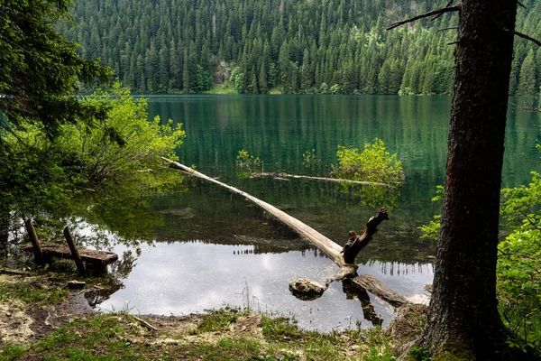 Uma Vista Pacífica Lago Negro Rodeado Por Árvores Densas Parque — Fotografia de Stock