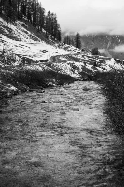 Eine Vertikale Aufnahme Trockener Bäume Berghang Des Val Fex Engadin — Stockfoto