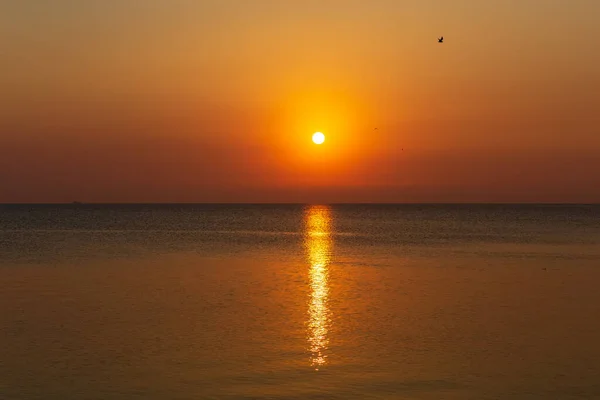 Une Vue Fascinante Lever Soleil Spectaculaire Sur Mer Alkhobar Khobar — Photo