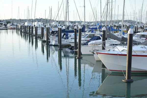 Auckland New Zealand Dec 2020 View Boats Half Moon Bay — Stock Photo, Image