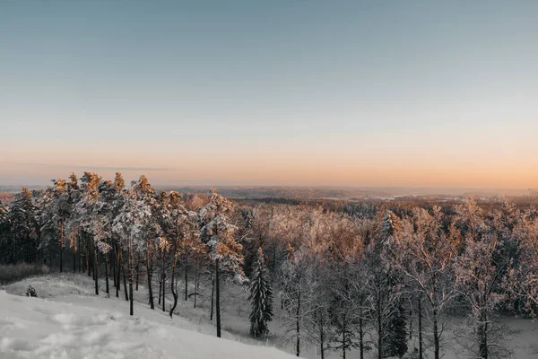 一个迷人的冬季风景和落日下的雪地森林 — 图库照片