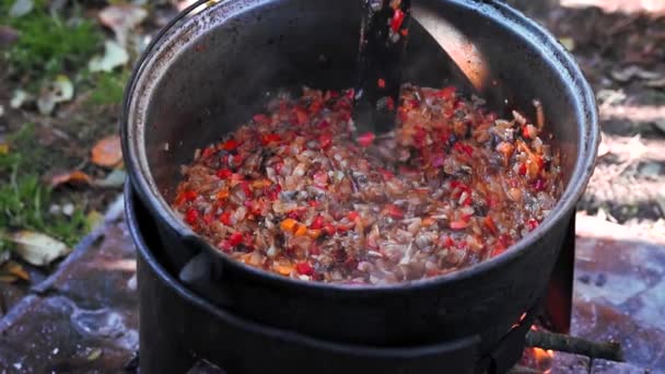 Tangan Wanita Tua Mengaduk Bubur Panas Kuali Pada Api Unggun — Stok Video