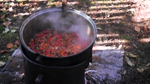 Old Female Hand Putting Twigs Cauldron Hot Porridge Campfire Close — Stock Video