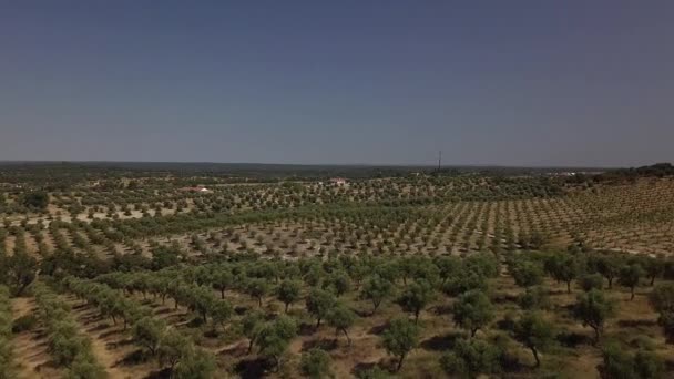 Vista Del Paisaje Rural — Vídeos de Stock