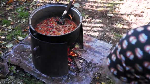老妇手把小树枝放在有热粥在篝火上的大锅里 — 图库视频影像