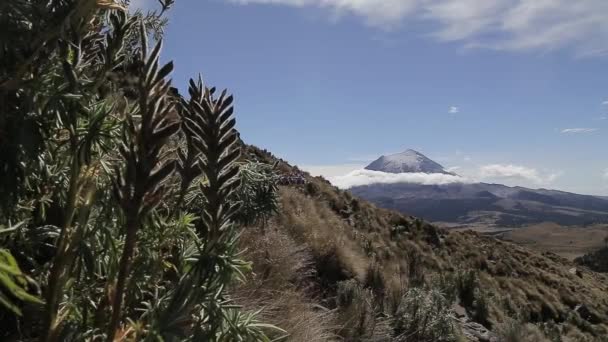 Blick Auf Die Berge Des Tales — Stockvideo