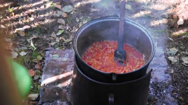 Hot Porridge Boiling Cauldron Campfire Close View — Stock Video