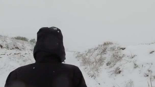 Una Grabación Una Persona Paseando Perro Ambiente Nevado — Vídeos de Stock