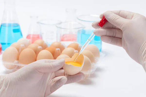 Κλείσιμο Ενός Επιστημονικού Προσθέτου Ουσιών Ένα Αυγό Ένα Εργαστήριο — Φωτογραφία Αρχείου