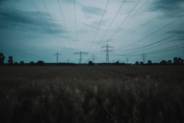 Obrovské Pole Elektrickými Věžemi Během Večera — Stock fotografie