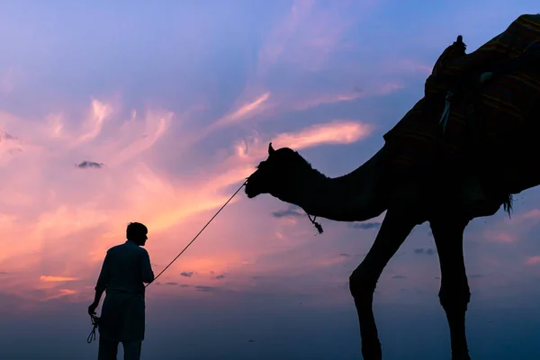 Beautiful Silhouette Person Camel Sunset Desert Jaisalme — Stock Photo, Image