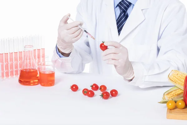 Close Cientista Injetando Substâncias Tóxicas Tomates Cereja Contra Fundo Branco — Fotografia de Stock