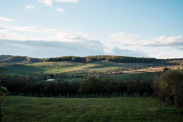 Beautiful View Field Countryside — Stock Photo, Image